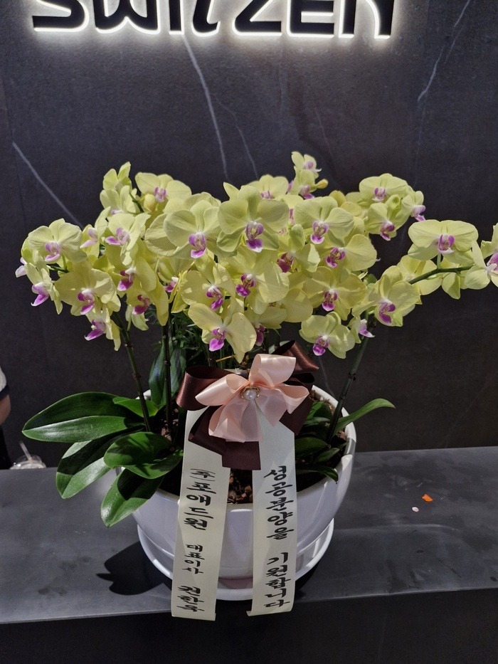 ���� �����